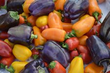 Colorful Peppers For Sale Royalty Free Stock Photo Colorful Peppers For Sale Royalty Free Stock Photo