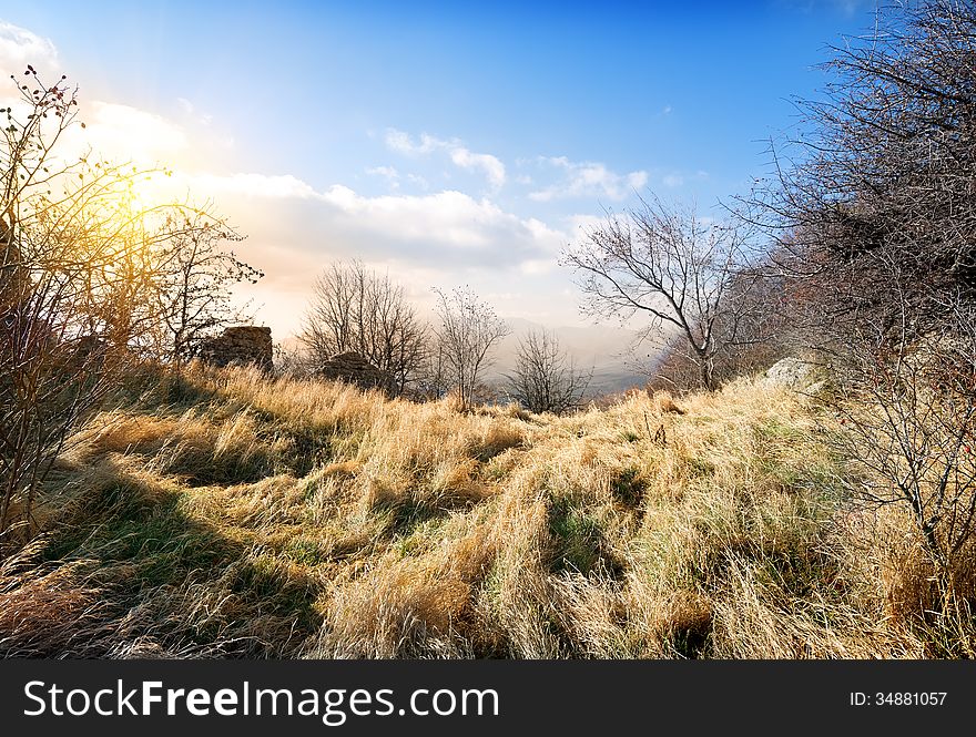 Dry trees and grass in autumn mountains. Dry trees and grass in autumn mountains