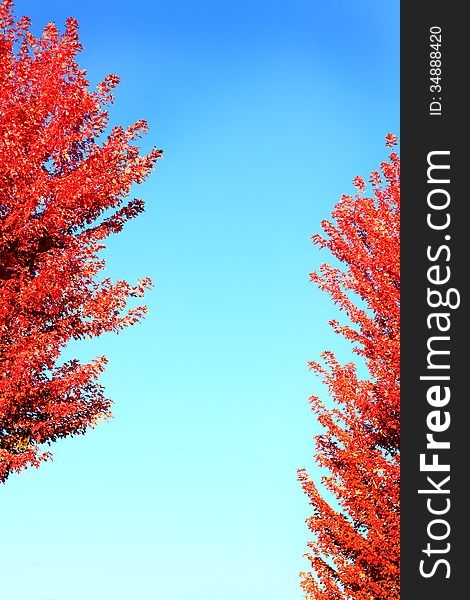 Bright Autumn Flyer Background