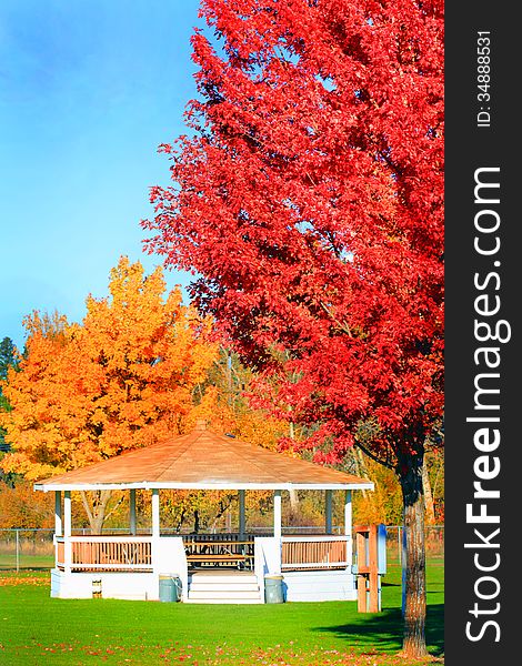Bright colorful Autumn trees, gazebo, and bright blue sky. Copy space. Shallow depth of field. Bright colorful Autumn trees, gazebo, and bright blue sky. Copy space. Shallow depth of field.