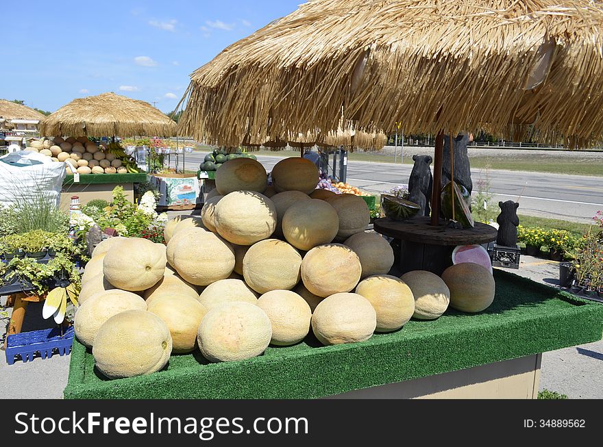Fresh ripe cantaloupe for sale at an outdoor market