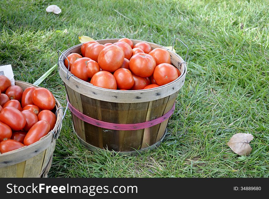 Baskets of whole ripe tomatoes for sale at an outdoor food market in rural Michigan, USA