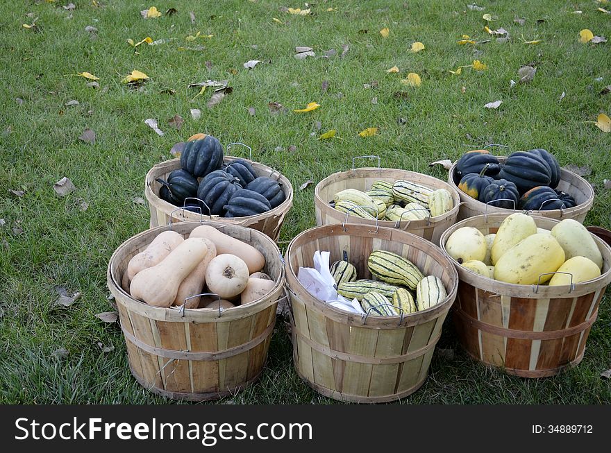 Baskets full of a variety of fresh ripe squash at an outdoor food market. Baskets full of a variety of fresh ripe squash at an outdoor food market.