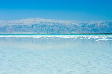 Beautiful Coast Of The Dead Sea Royalty Free Stock Photos Beautiful Coast Of The Dead Sea Royalty Free Stock Photos