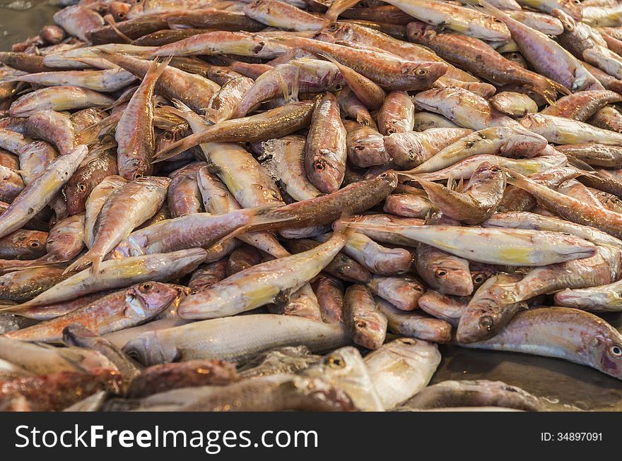 Mullet fish on the counter in Trani, Puglia, Italy