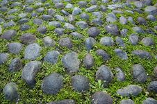 Paving Background Detail Royalty Free Stock Photos