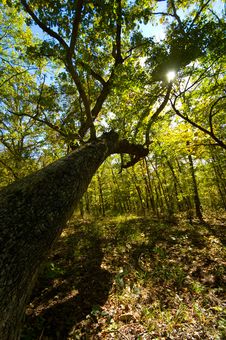Hiking Trail In The Autumn Stock Image Hiking Trail In The Autumn Stock Image