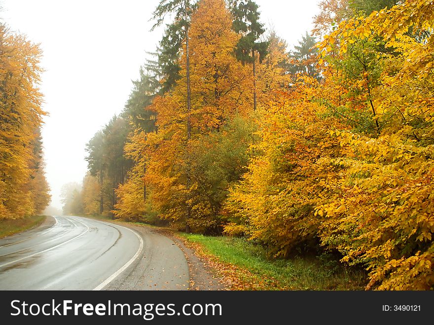 Photo of colorful autumn trees and road