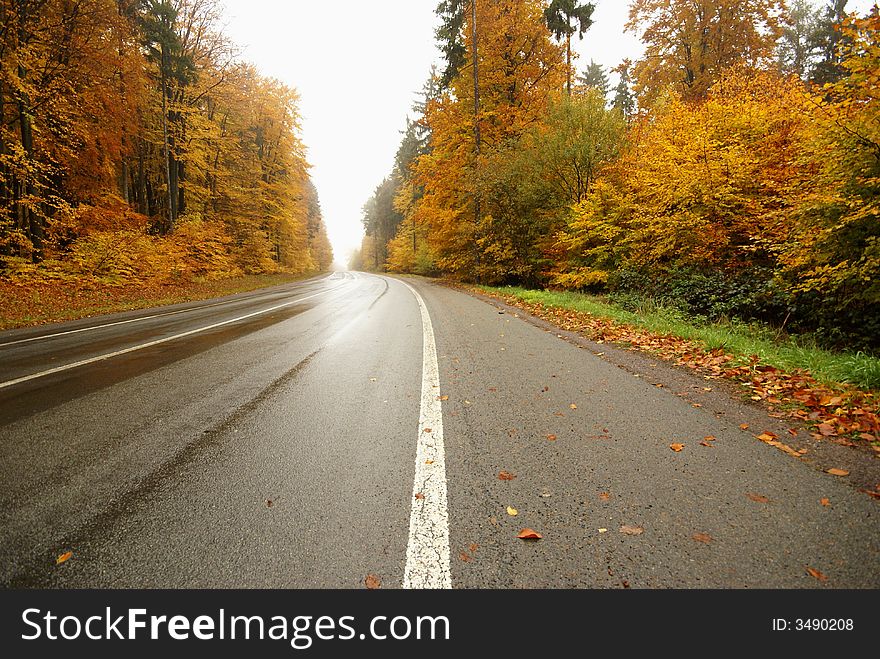 Photo of colorful autumn trees and road