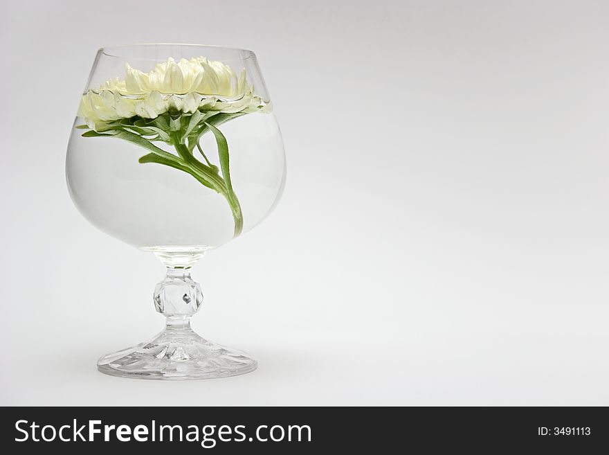 White flower in a glass. White flower in a glass.
