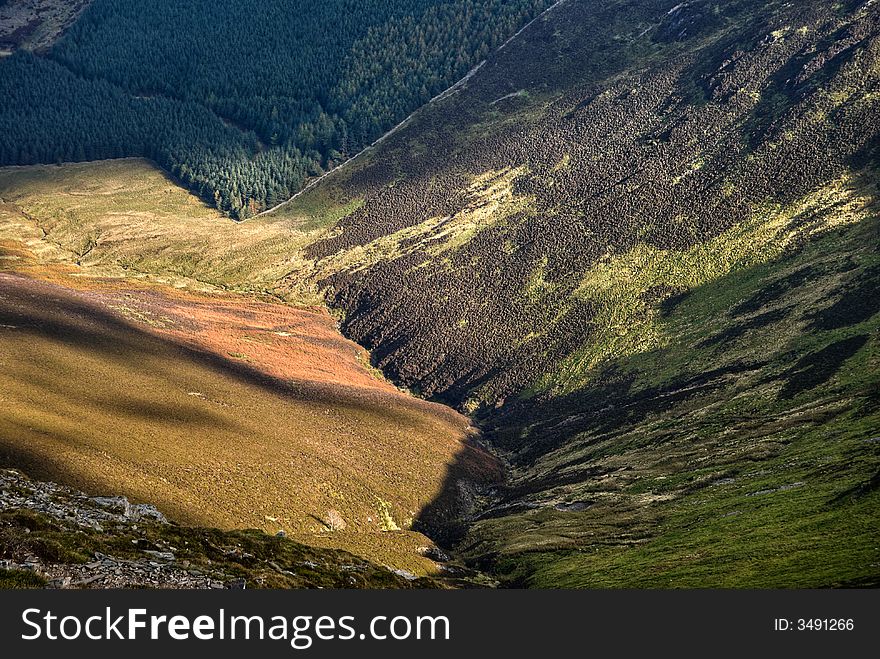 A Mountain valley on the side of Grizedale Pike in the English Lake District, showing differing types of vegetation in dappled sunlight