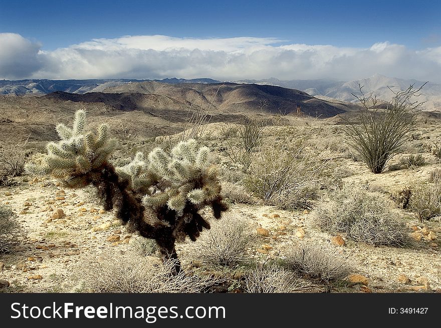 Remote Southwest Desert Area Anza Borrego. Remote Southwest Desert Area Anza Borrego