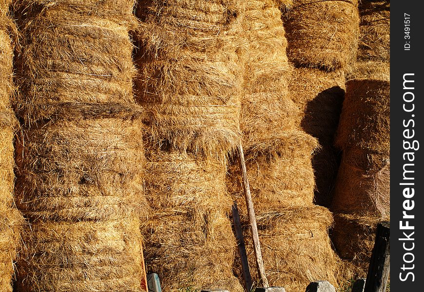 Freshly cut and rolled Hay Bales lay on a barn