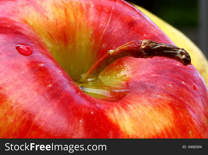 Close up up red apples. Close up up red apples