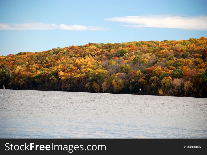 Colorful trees on the river bank. Colorful trees on the river bank.