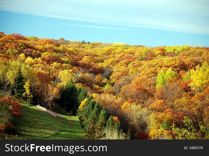 Colorful trees on the river bank. Colorful trees on the river bank.
