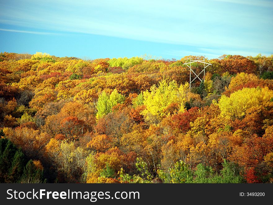 Colorful trees on the bluff. Colorful trees on the bluff.