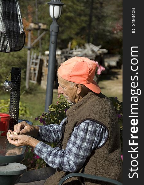 Senior man preparing foods for the birds. Senior man preparing foods for the birds