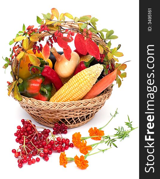 Lots of fresh and ripe vegetables in the basket