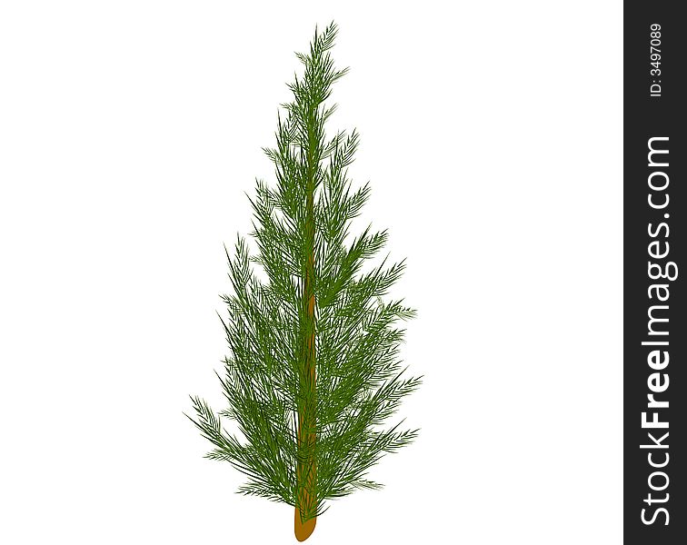 A clip art illustration of a single Christmas Tree, isolated and intentionally undecorated for your own ornaments. A clip art illustration of a single Christmas Tree, isolated and intentionally undecorated for your own ornaments