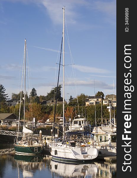 Nice white and green sailboats at a marina