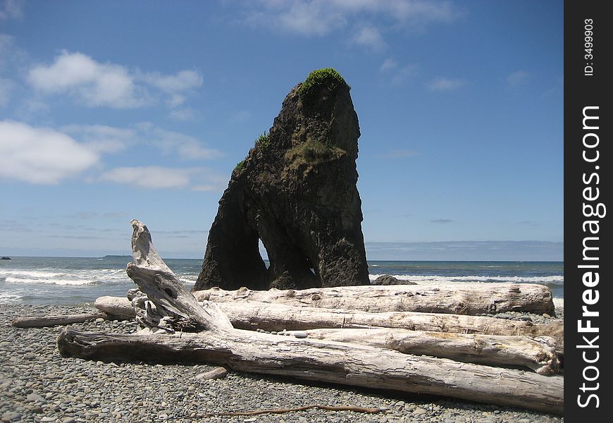 Seastack at Ruby Beach in Olympic National Park.
