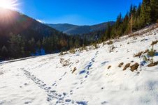 Snowy Road To Coniferous Forest In Mountains Royalty Free Stock Photo Snowy Road To Coniferous Forest In Mountains Royalty Free Stock Photo