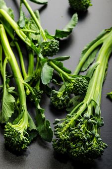 Sprouting Broccoli Variety Royalty Free Stock Photo Sprouting Broccoli Variety Royalty Free Stock Photo
