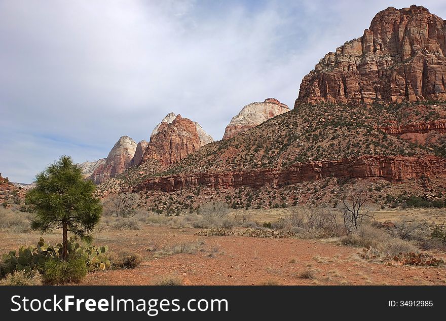 Landscape view of Zion National Park in Utah. Landscape view of Zion National Park in Utah