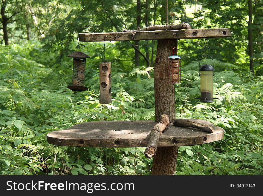 A Bird Feeding Table in a Woodland Setting. A Bird Feeding Table in a Woodland Setting.
