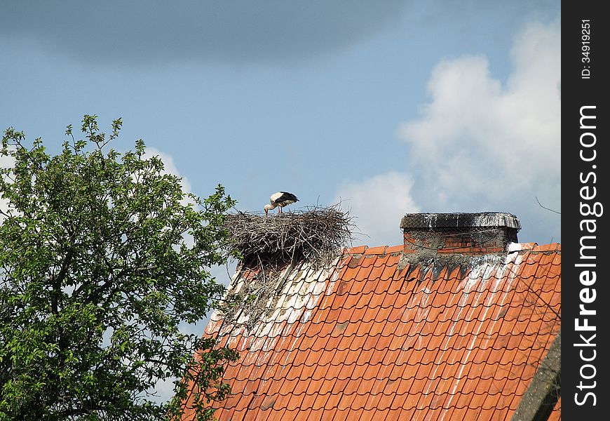Stork nest on the roof