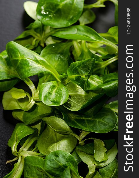 Lambs lettuce texture