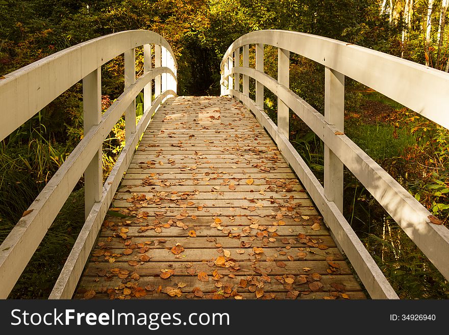 Wooden Bridge in the Park on an Autumn Day. Wooden Bridge in the Park on an Autumn Day