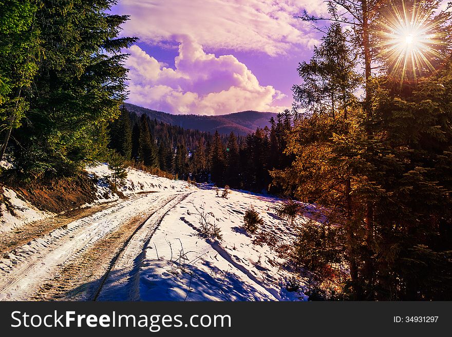 Snowy Road To Coniferous Forest In Mountains