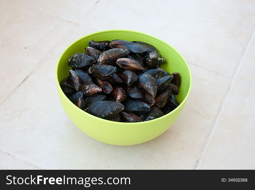 The Black Sea fresh mussels, Bulgaria