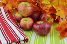 Fresh Ripe Apples On Display Stock Images Fresh Ripe Apples On Display Stock Images