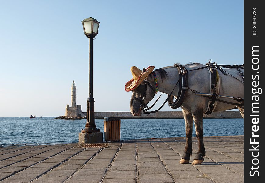 Horse in hat on sea quay with lighthouse