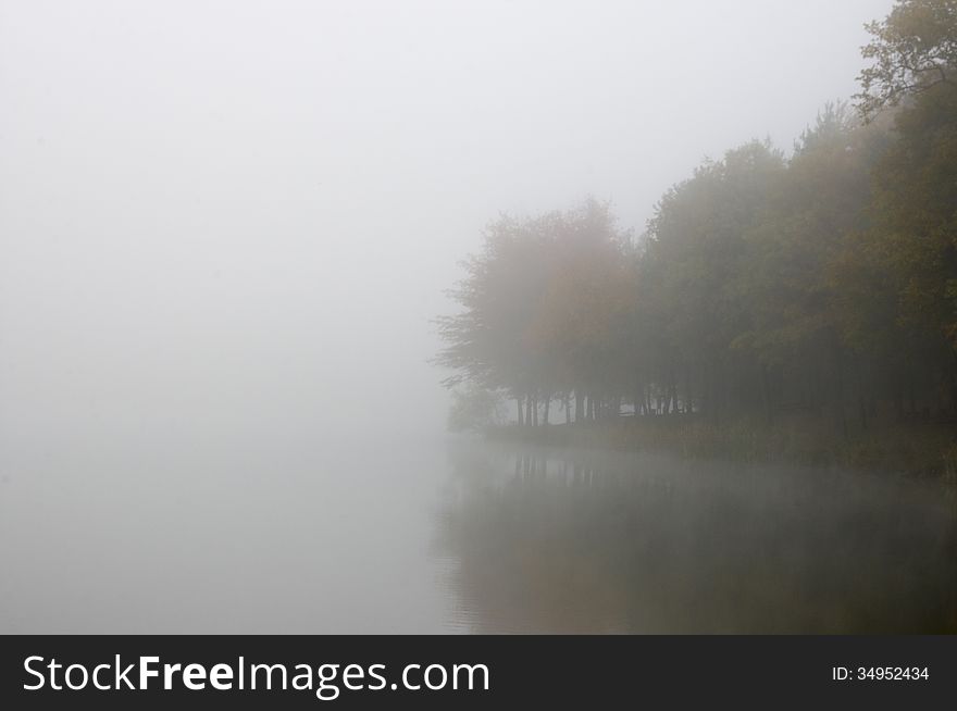 Foggy Landscape.