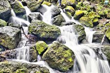 Falls In The Wood Stock Images Falls In The Wood Stock Images