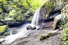 Falls In The Wood Stock Photography Falls In The Wood Stock Photography