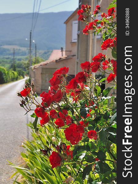 Flowered street in a French village. Flowered street in a French village