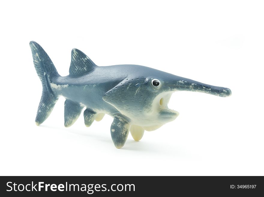 Single rubber toy fish isolated on white background