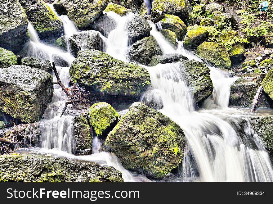 Falls in the dense wood in cloudy day. Falls in the dense wood in cloudy day