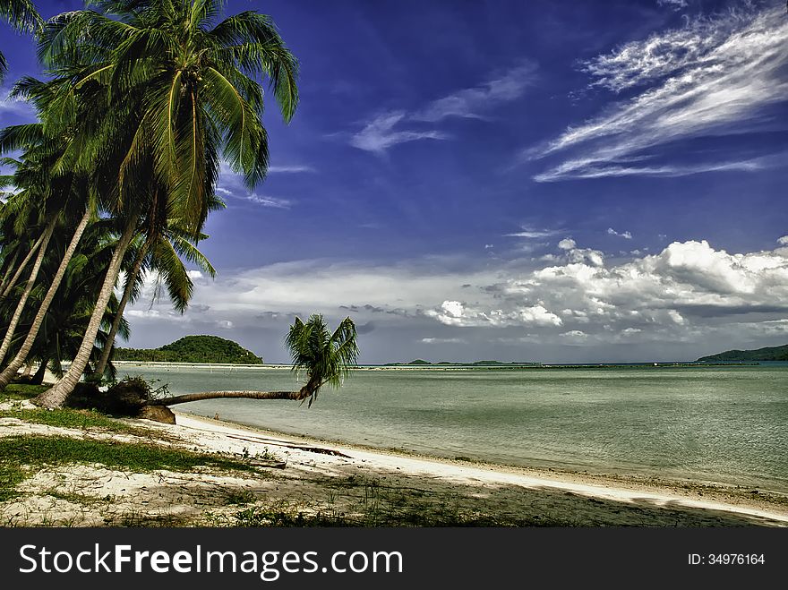 White sandy beach and palm trees. Paradise