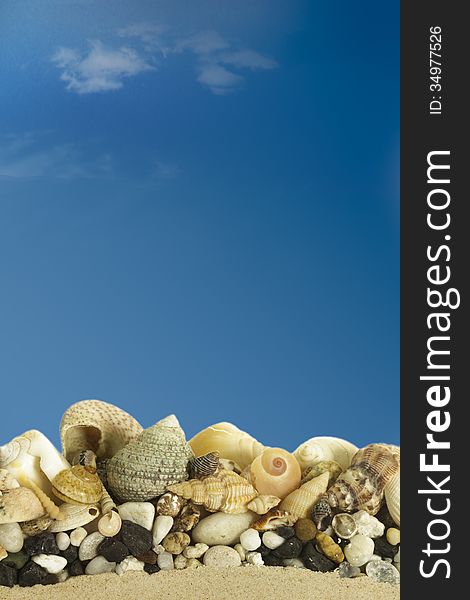 Sea Shells With Blue Sky.