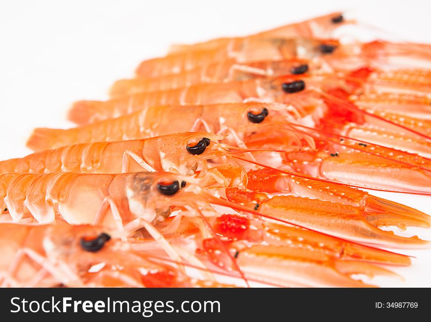 Group of fresh Norway lobsters on white background. Close up