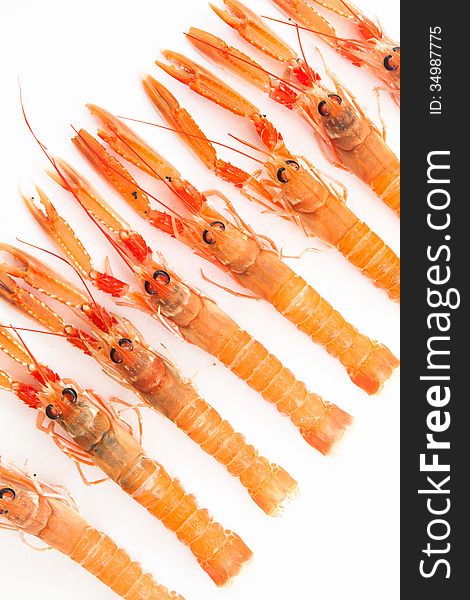 Group of fresh Norway lobsters on white background.