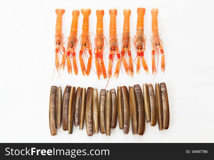 Group of fresh Norway Lobsters and Razor Shells. White backgroun