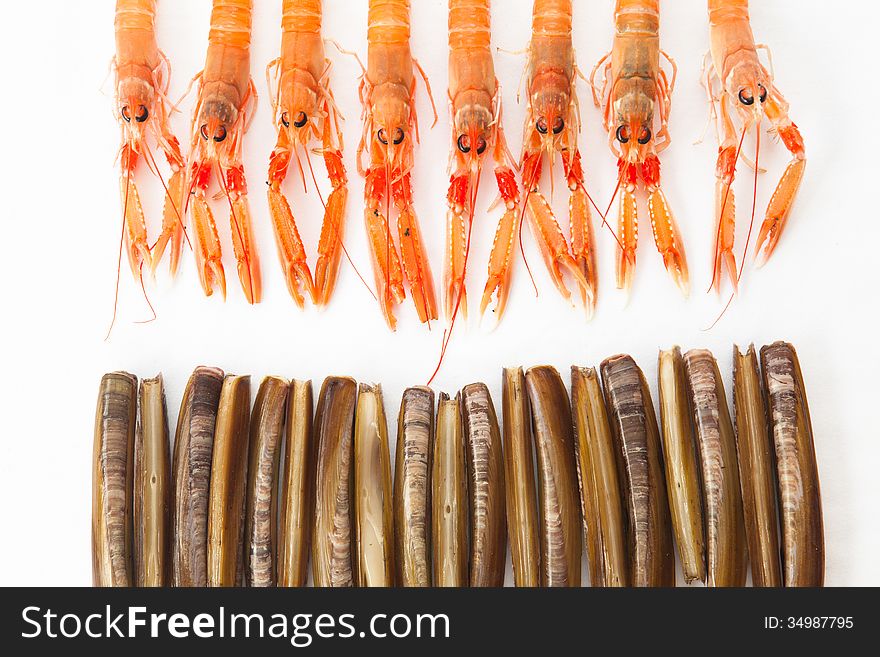 Fresh Norway Lobsters and razor shells over white background. Fresh Norway Lobsters and razor shells over white background.