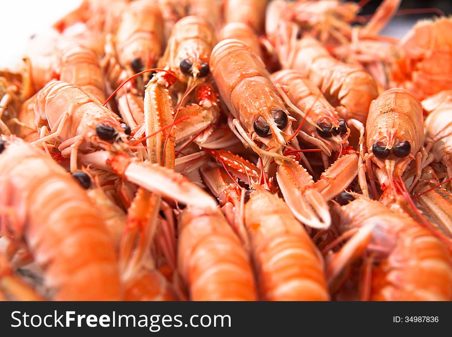 Fresh Norway Lobsters Close Up. Soft Focus.